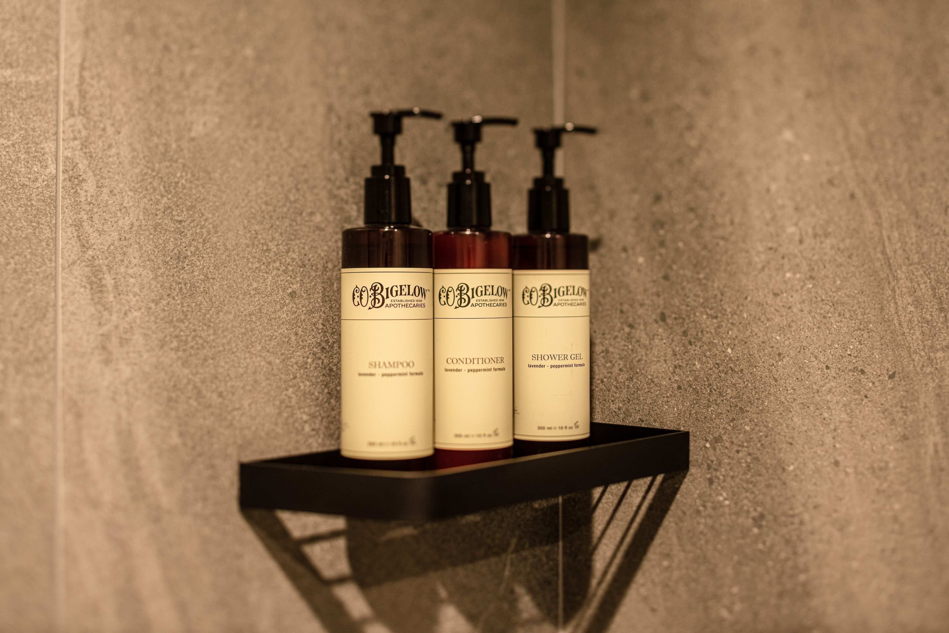 Foto - The Basics Fukuoka