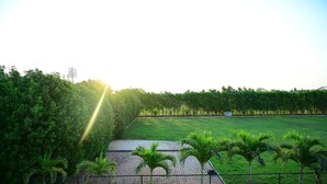 Un espacio al aire libre cercado con un camino empedrado, césped verde y palmeras.