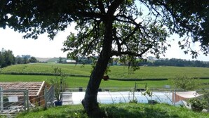 A tree in a grassy area with a fenced field and buildings in the background. - Ferienhof Löw (Salzweg)
