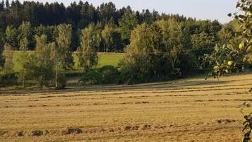 Pemandangan dari kamar