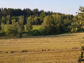 View from room - Ferienhof Löw (Salzweg)