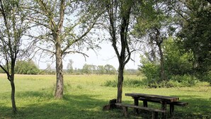 A picnic table in a grassy field with trees around. - Pension Tišina (Sisak)
