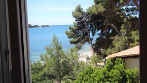 Blick auf die Küste mit blauem Himmel, Sandstrand und dichter Vegetation.