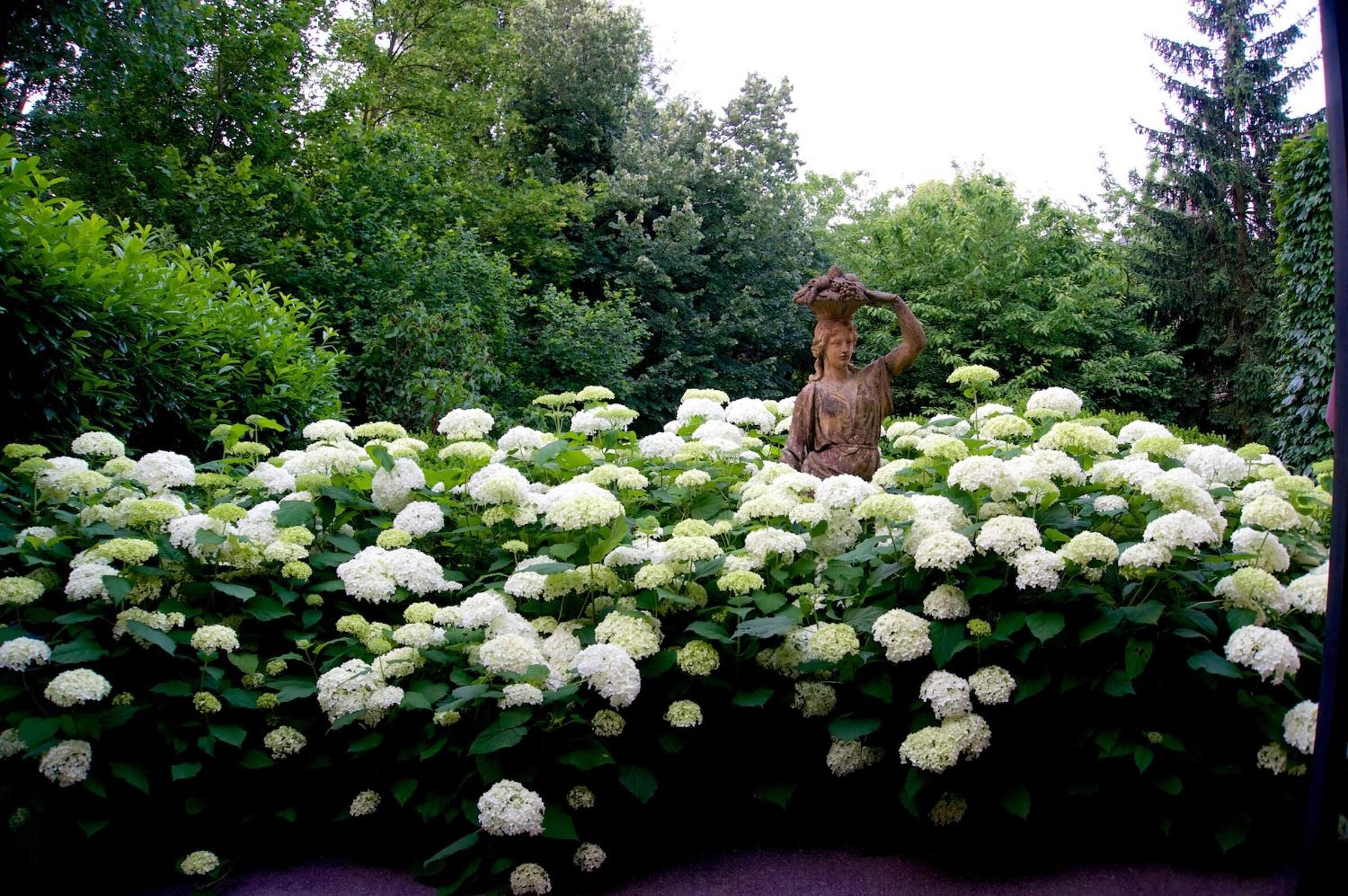 Foto - Embassy Row BnB