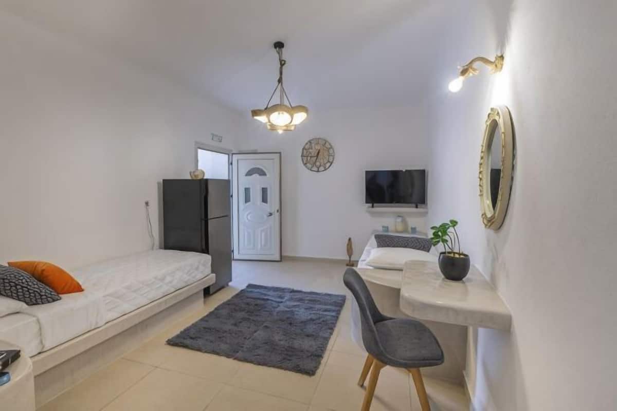 Een kleine kamer met een bed, een bureau, een stoel, een televisie en een kleine plant.