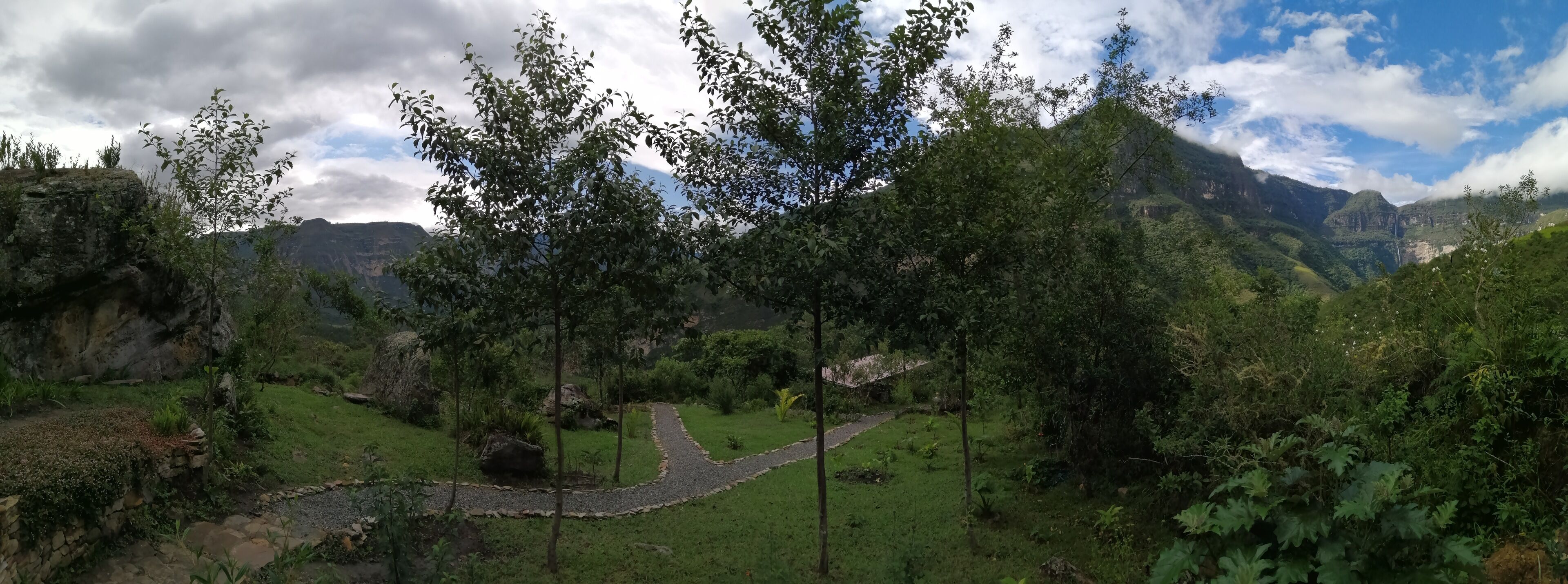 A lush valley with a winding path, surrounded by dense greenery and mountains in the background.