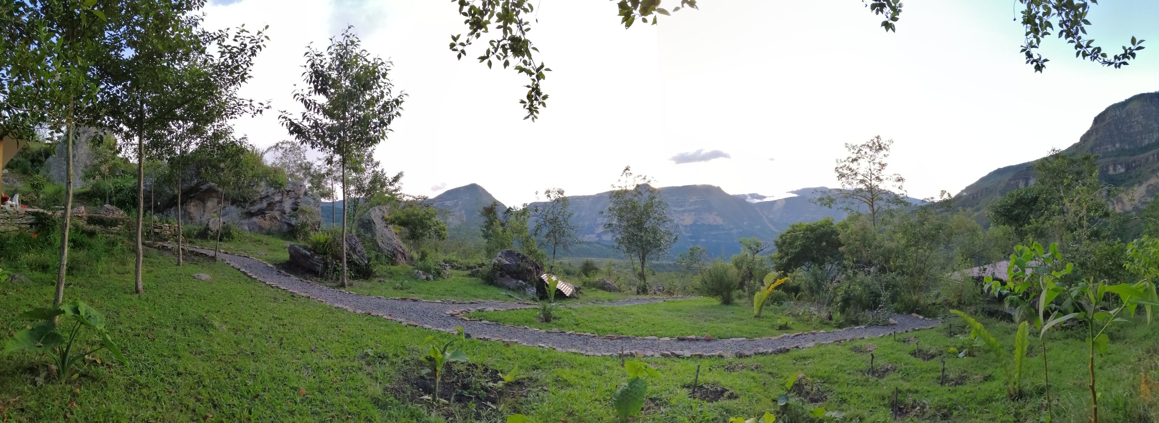 Un paisaje verde y exuberante con un camino sinuoso, árboles y montañas al fondo.