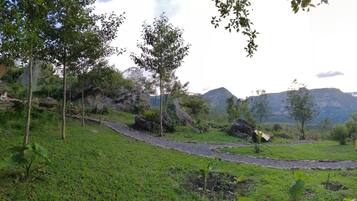 A lush green landscape with a winding path, trees, and a mountainous backdrop.