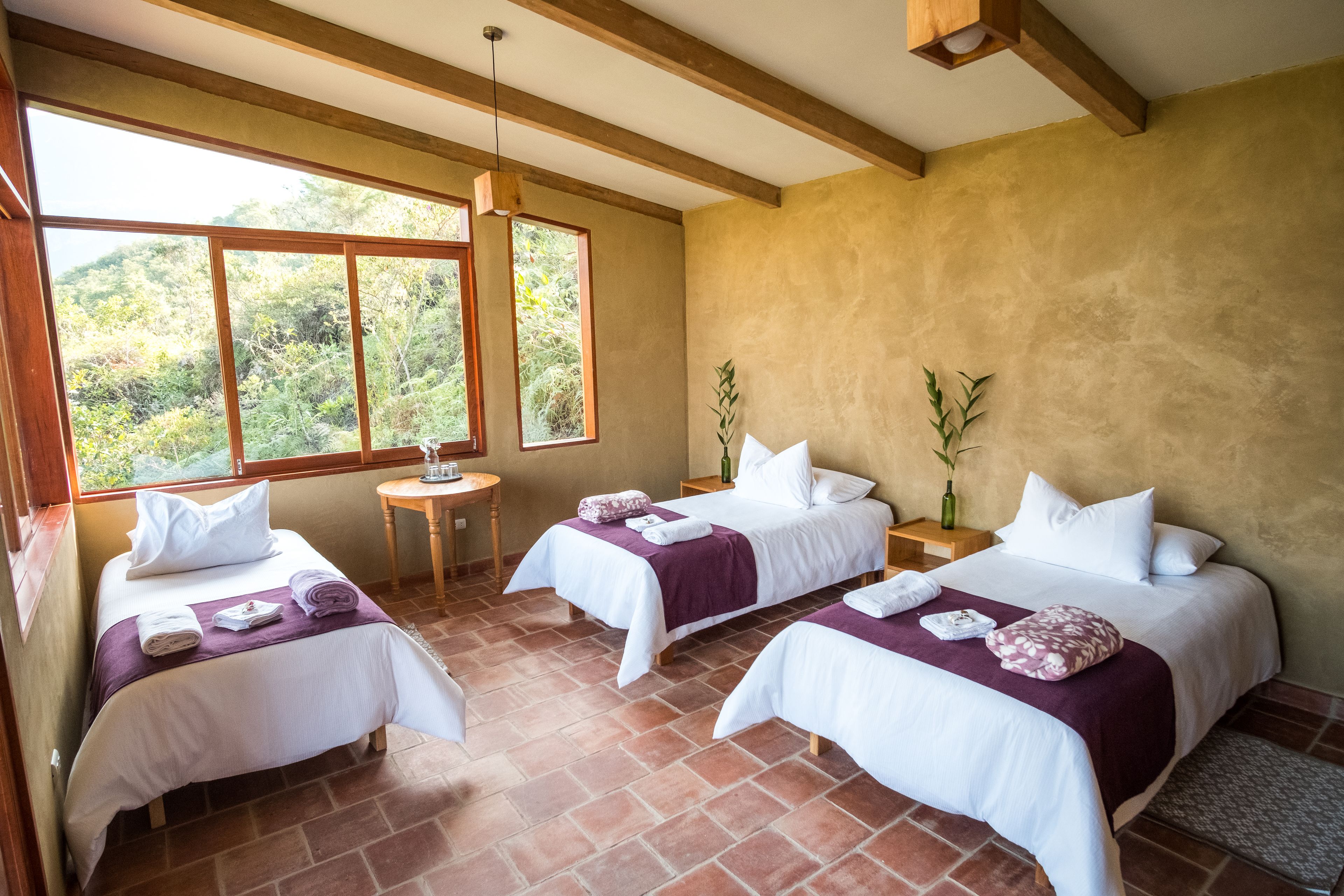 Panoramic Room, 1 King Bed | 1 bedroom, down comforters, individually decorated, rollaway beds