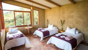 Panoramic Room, 1 King Bed | 1 bedroom, down comforters, individually decorated, rollaway beds