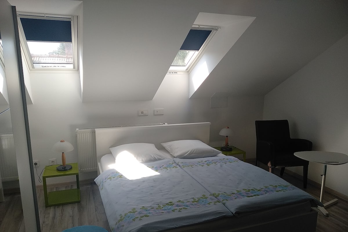 Habitación doble, baño privado | Tabla de planchar con plancha, cunas gratuitas y wifi gratis