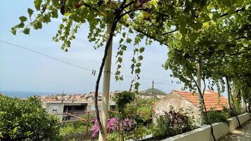 Double Room, Terrace, Sea View | Terrace/patio