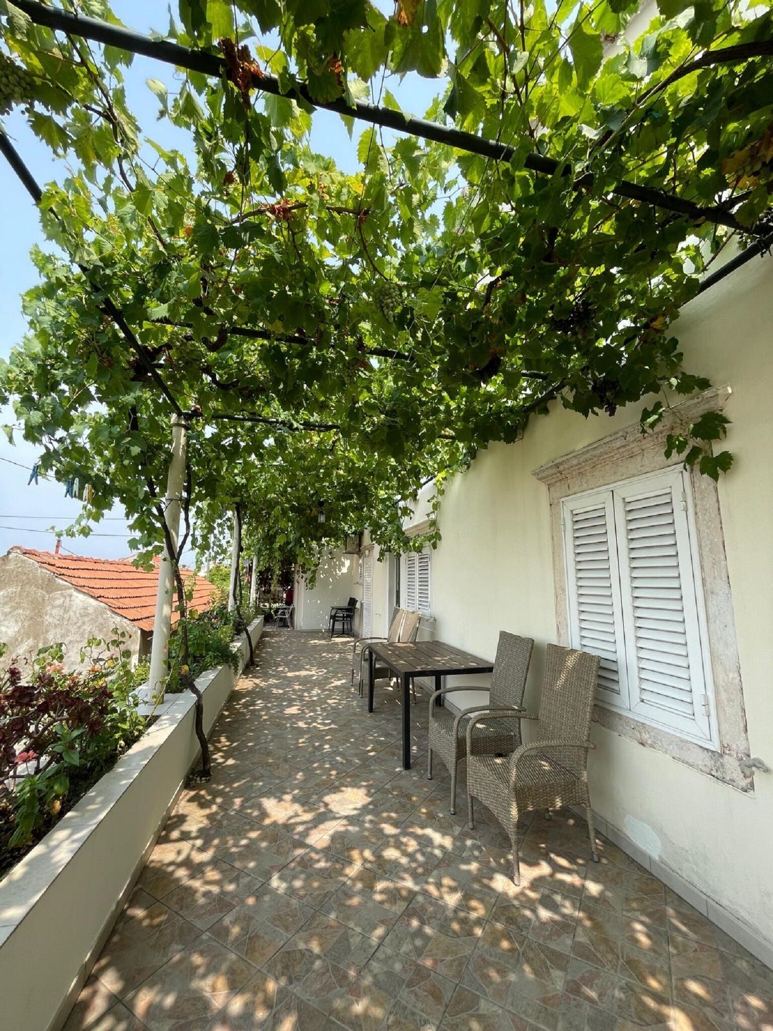 Foto - Guest House Luce