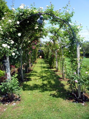 Garden - Marilena (Capoliveri)