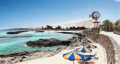 Nest 2 Mein Lieblingsort auf der Welt