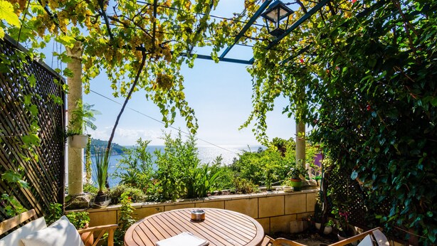 Standard Studio, Terrace | Pemandangan dari bilik