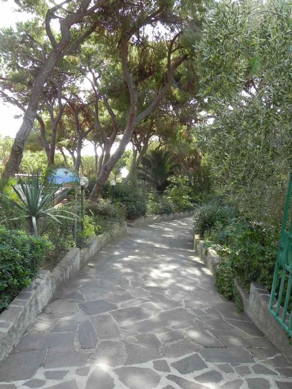 A stone pathway leading through a garden with various plants and a green fence on one side.