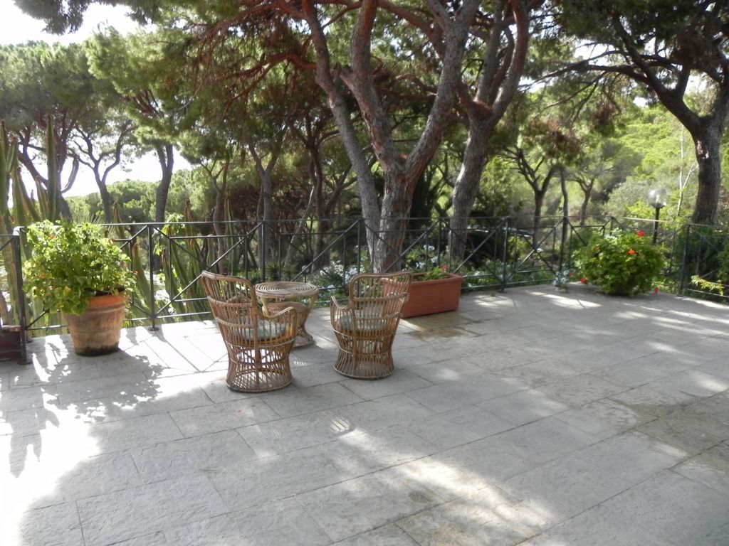 Terraço/pátio