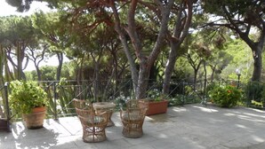 An outdoor patio area with wicker furniture and potted plants. - Silvia (Capoliveri)