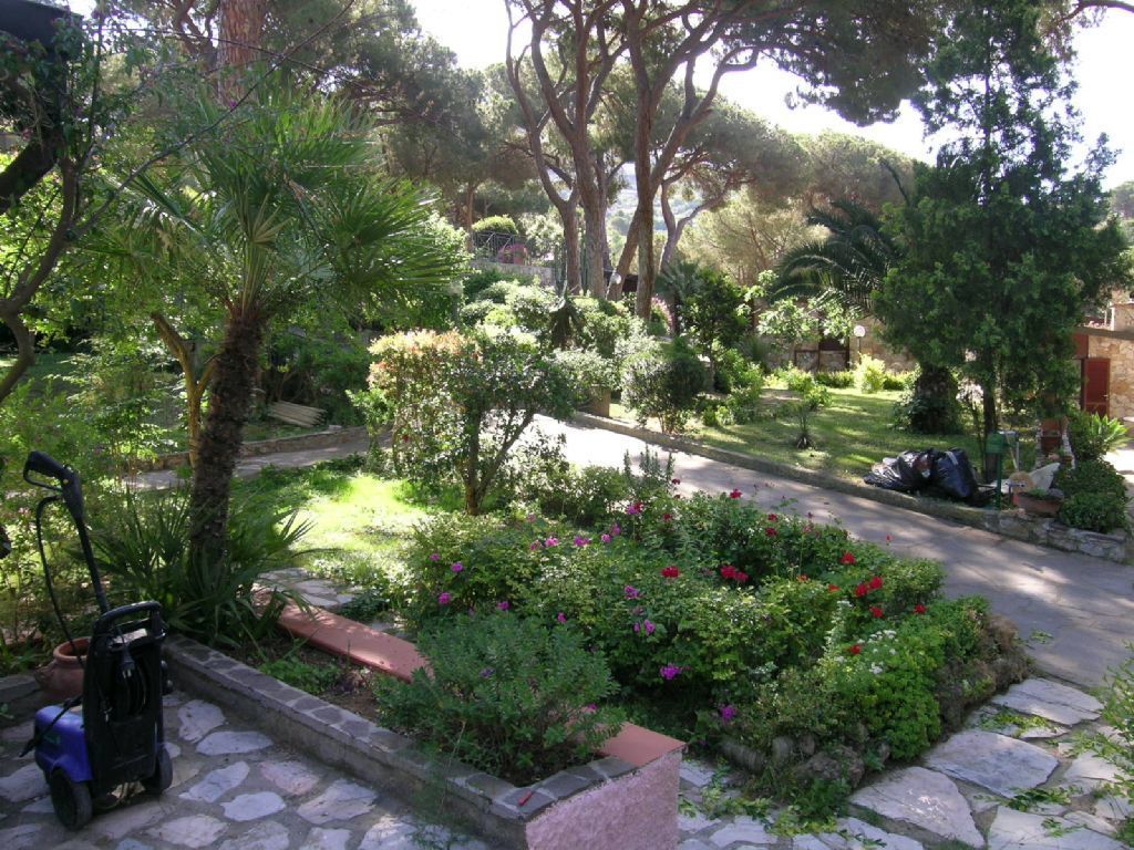 A garden with a stone pathway, various plants, and a parked scooter.