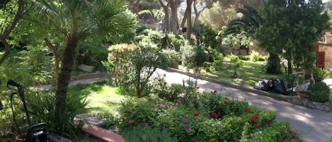 A garden with a stone pathway, various plants, and a parked scooter.