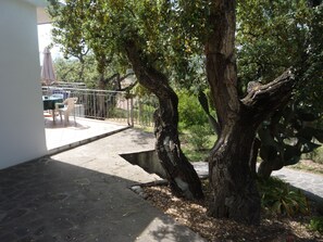 A patio area with a tree, a table, and chairs. - Villa Colle Lido (Capoliveri)