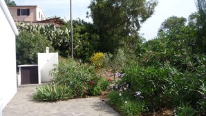 Un giardino con vialetto lastricato, diverse piante e un edificio con antenna parabolica.