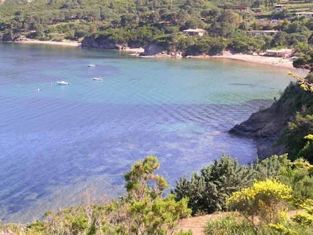 Vista desde la propiedad