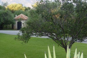 Jardín