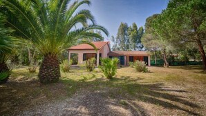 A single-story house with a red roof, surrounded by a variety of tropical plants and trees. - Luisa (Capoliveri)