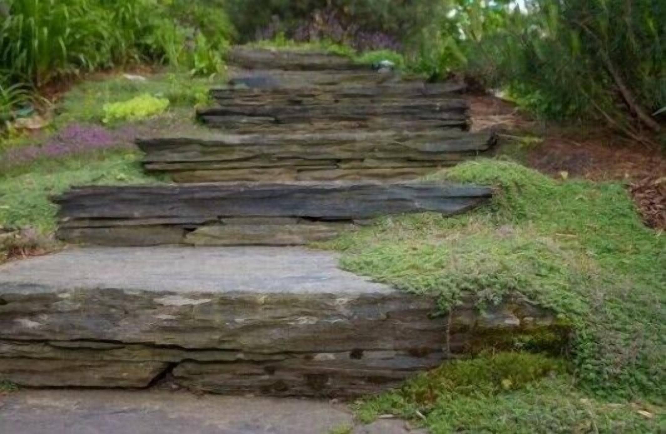 House | Property grounds