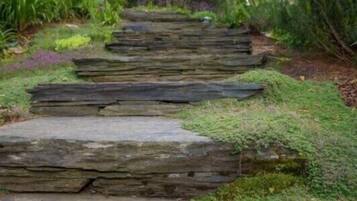 House | Property grounds