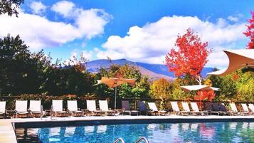 House | Pool | Indoor pool, outdoor pool
