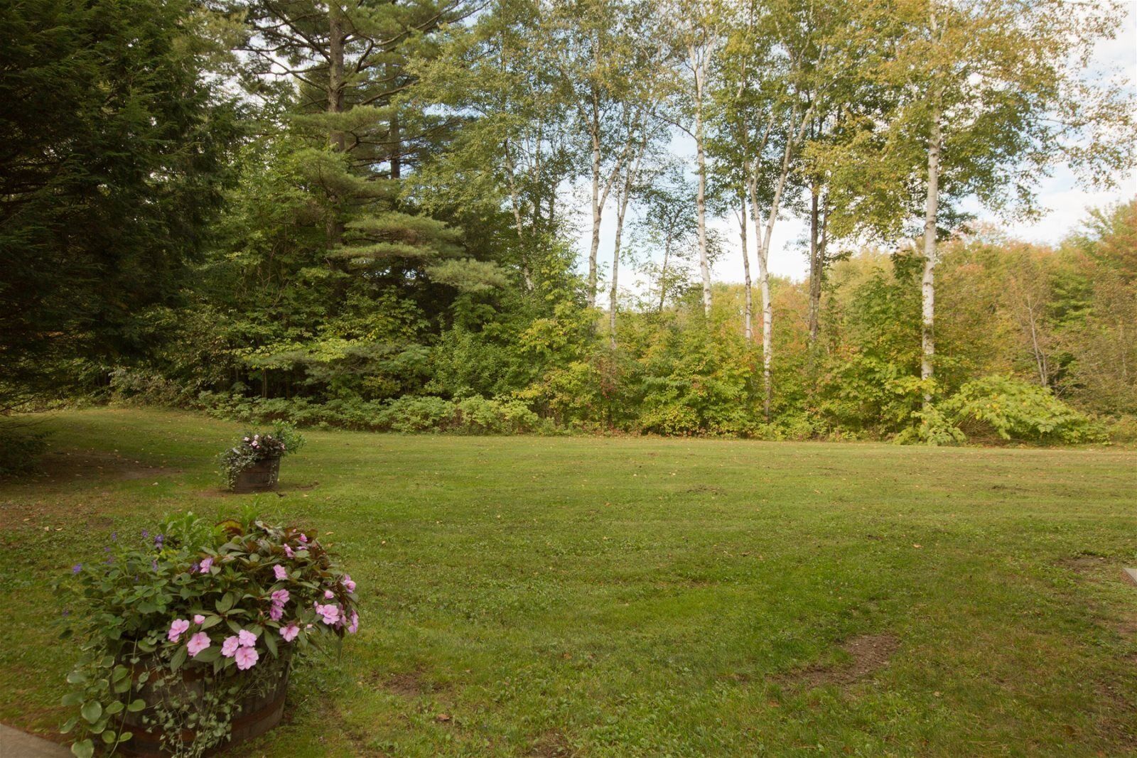 A grassy yard with a flower bed and trees in the background.