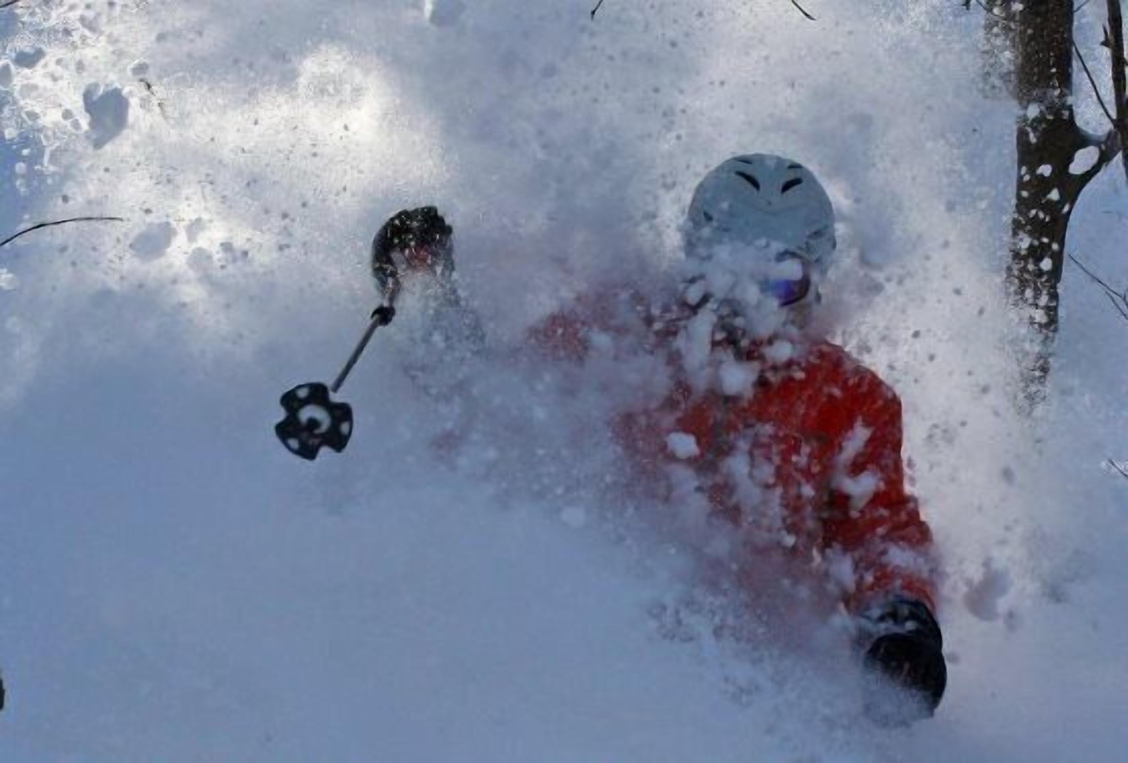 A person skiing with a visible ski pole.