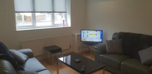 TV a schermo piatto 32 pollici con canali digitali, TV
