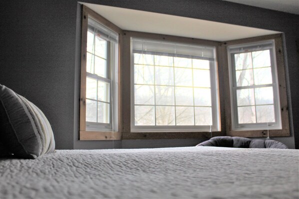 Casa | 1 habitación, escritorio, tabla de planchar con plancha y wifi gratis