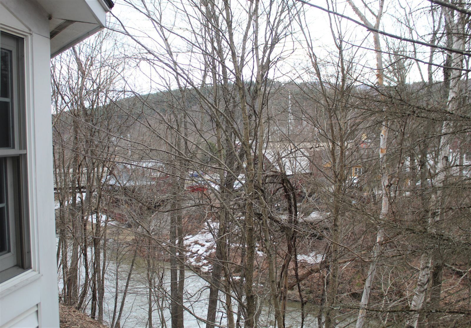 A view of a river with trees in the foreground and buildings in the background.