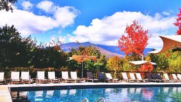 House | Pool | Indoor pool, outdoor pool