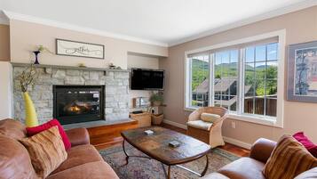 TV, fireplace, DVD player