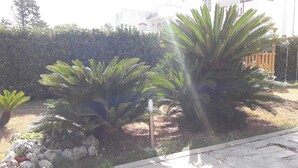 A garden with several palm trees and a stone pathway. - Villa del Mar (Bari)