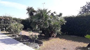 Jardín