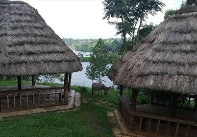 Nile Park - Campsite