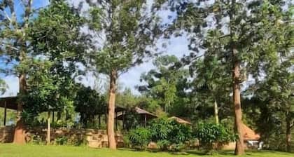 Nile Park - Campsite