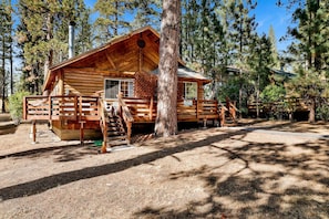 A wooden cabin with a porch, a staircase, and a view of the surrounding forest.