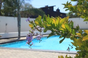 A poolside view with a clear blue pool, a white wall, and a building in the background. - Big Ben Lodge (Polokwane)
