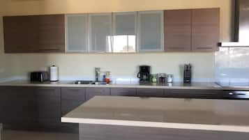 Full-sized fridge, microwave, oven, stovetop