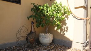 Exterior detail - Roba Monakedi Guest Lodge (Mahikeng)