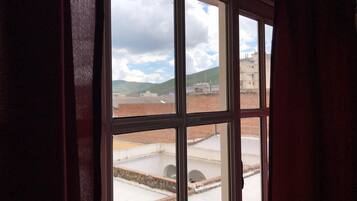 Standard Apartment | View from room