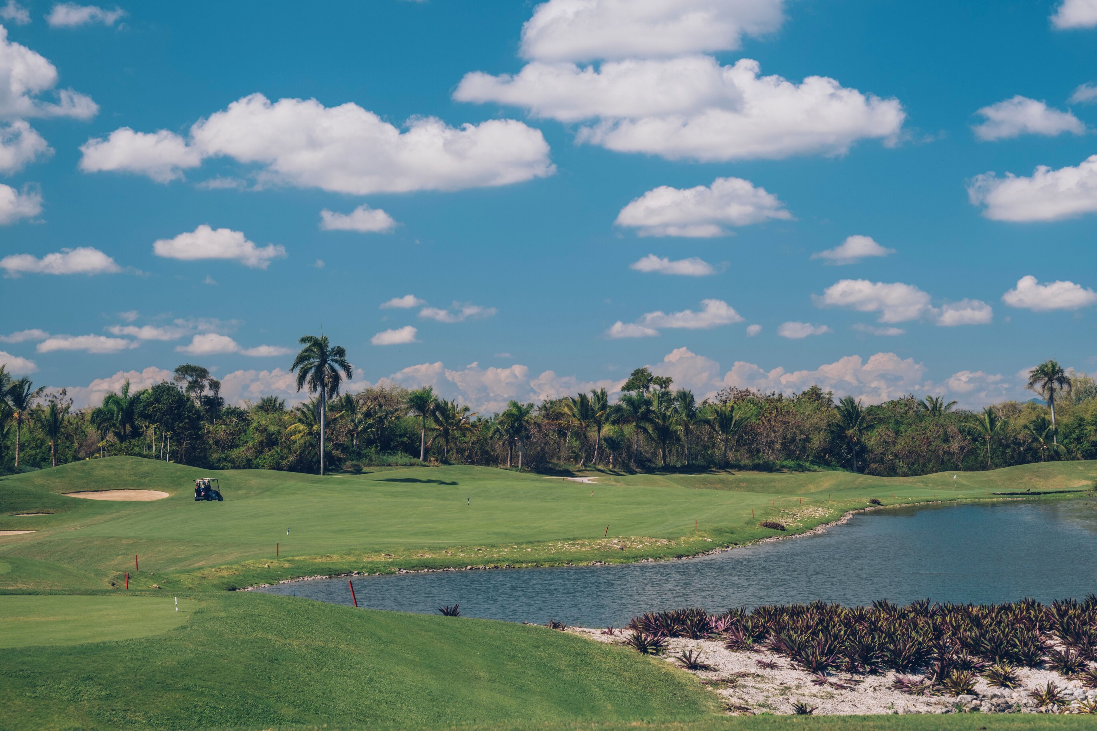 Foto - Iberostar Selection Bavaro Suites - All Inclusive